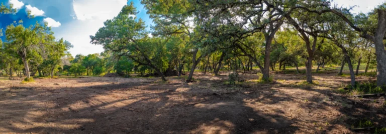 Hundreds of oak trees setting the stage for Lot 31 in Pecan Springs, Boerne, TX